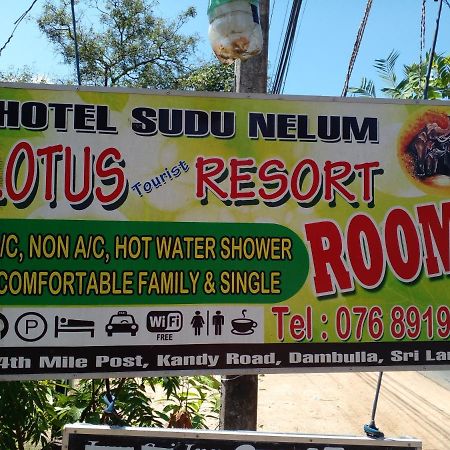 Lotus Inn Tourist Resort Dambulla Bagian luar foto