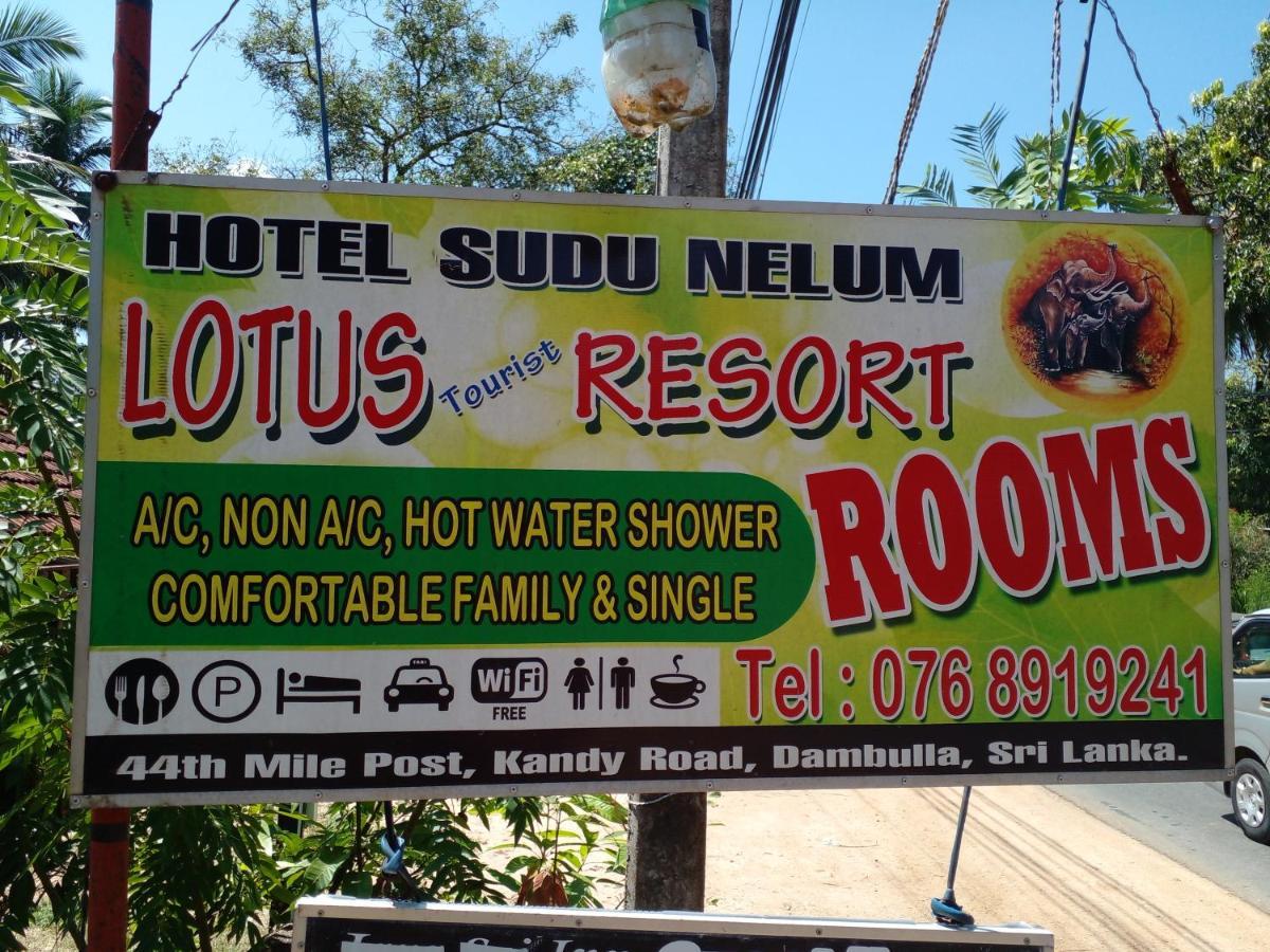 Lotus Inn Tourist Resort Dambulla Bagian luar foto
