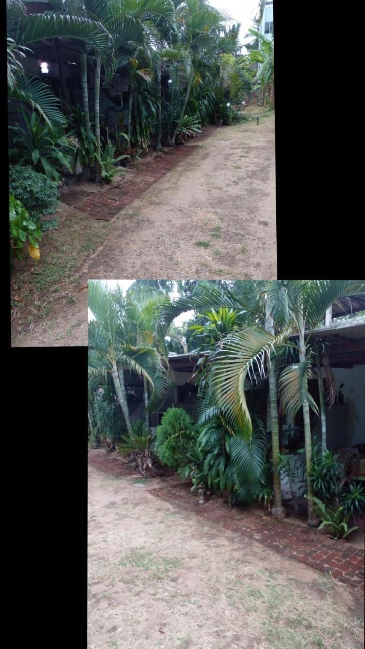 Lotus Inn Tourist Resort Dambulla Bagian luar foto
