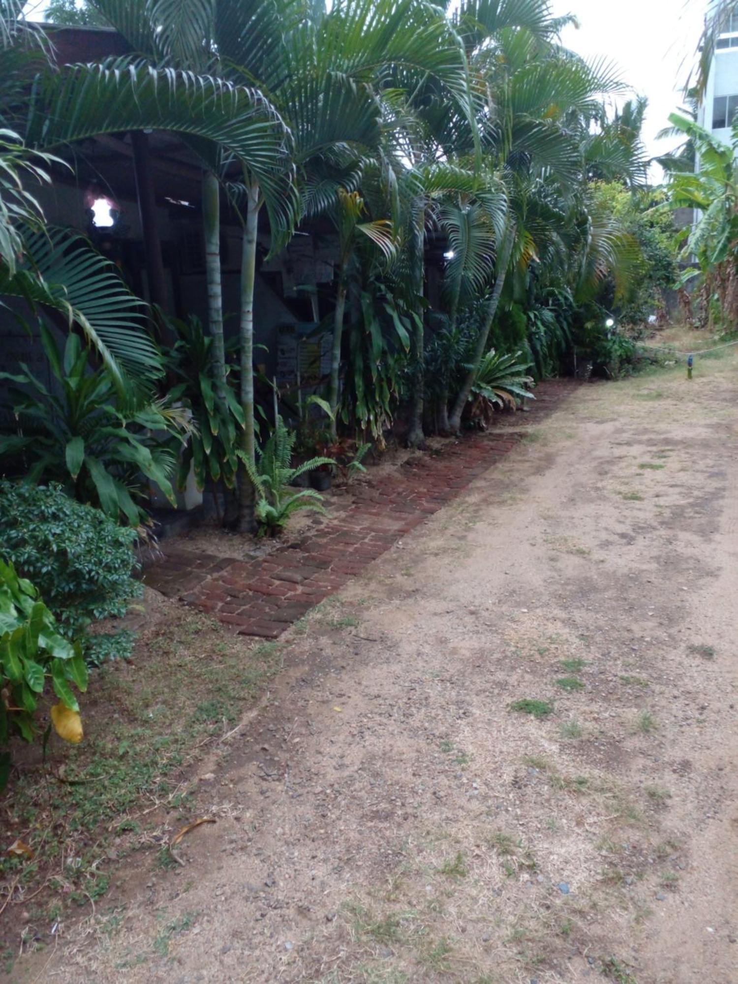 Lotus Inn Tourist Resort Dambulla Bagian luar foto