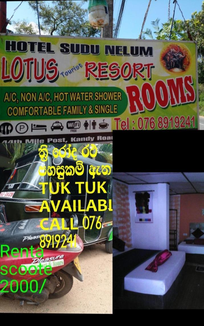 Lotus Inn Tourist Resort Dambulla Bagian luar foto