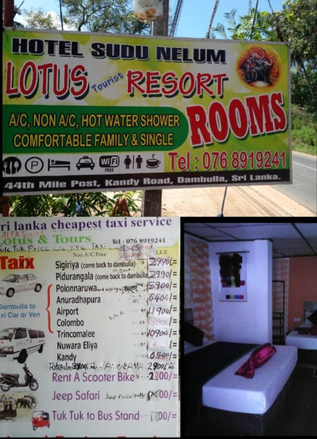 Lotus Inn Tourist Resort Dambulla Bagian luar foto