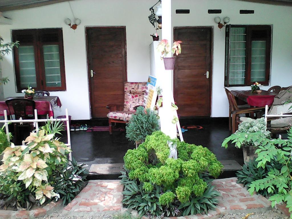 Lotus Inn Tourist Resort Dambulla Bagian luar foto