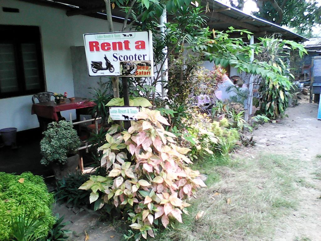 Lotus Inn Tourist Resort Dambulla Bagian luar foto