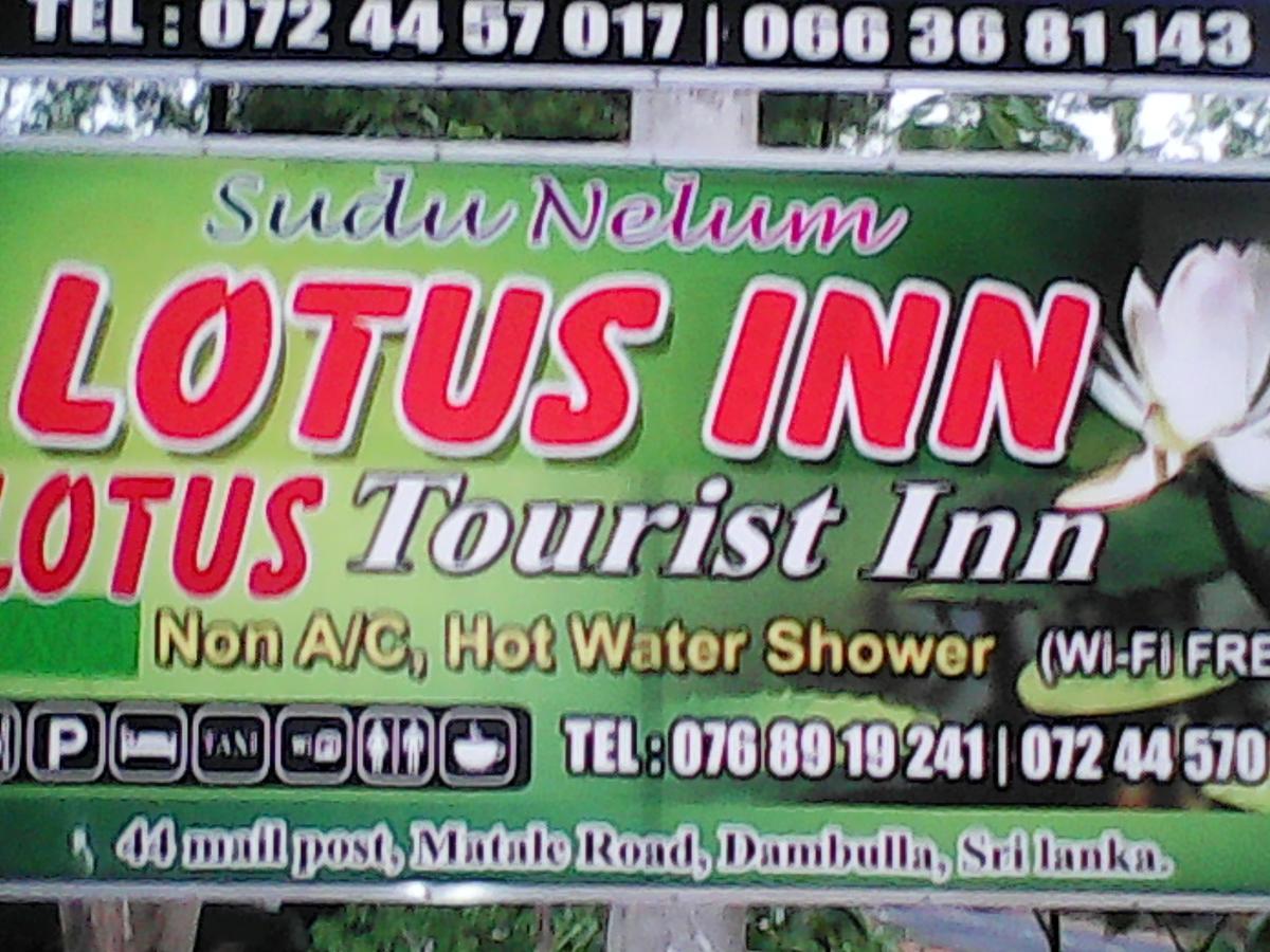 Lotus Inn Tourist Resort Dambulla Bagian luar foto