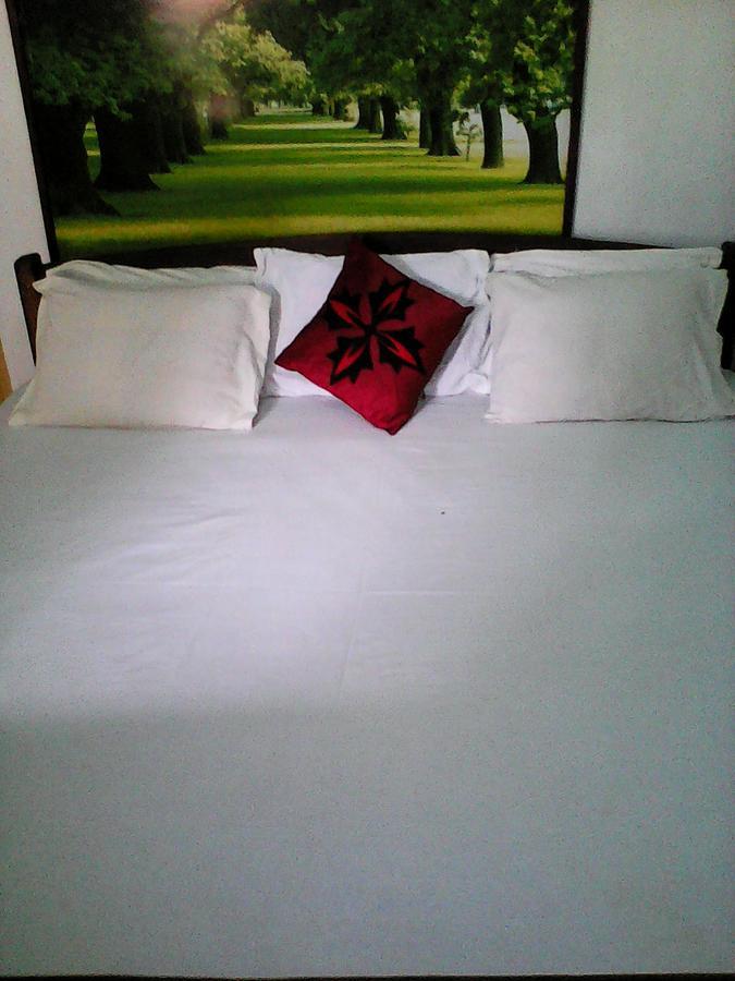 Lotus Inn Tourist Resort Dambulla Bagian luar foto