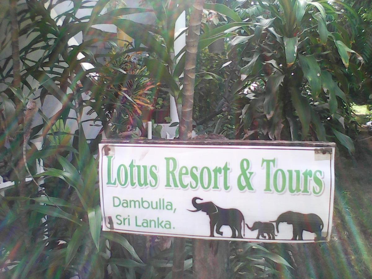 Lotus Inn Tourist Resort Dambulla Bagian luar foto