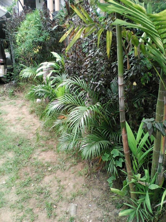 Lotus Inn Tourist Resort Dambulla Bagian luar foto