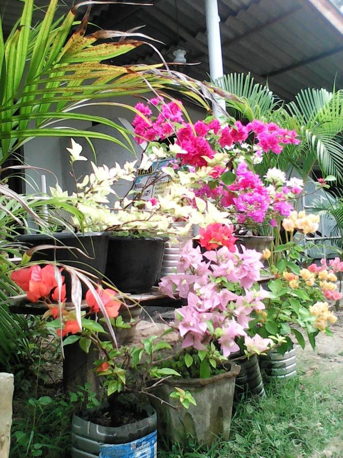 Lotus Inn Tourist Resort Dambulla Bagian luar foto