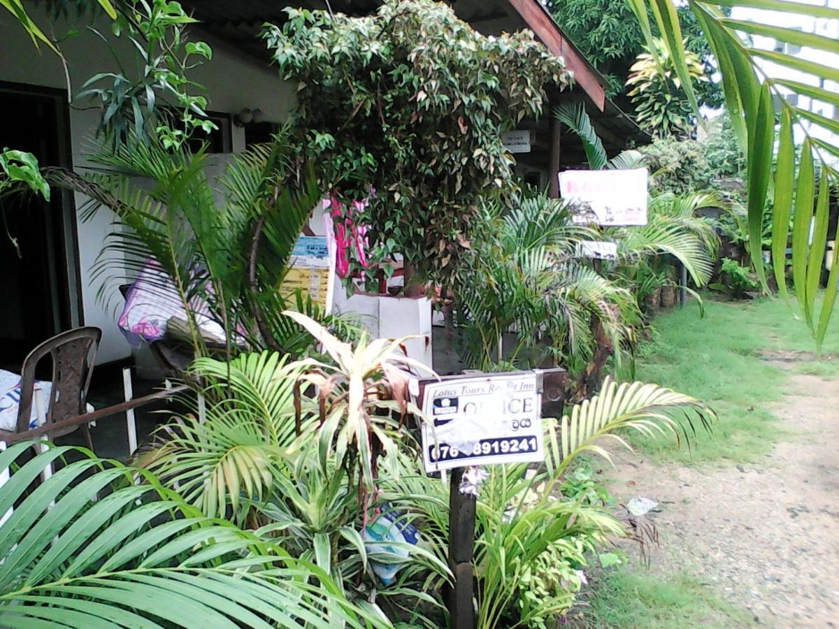 Lotus Inn Tourist Resort Dambulla Bagian luar foto