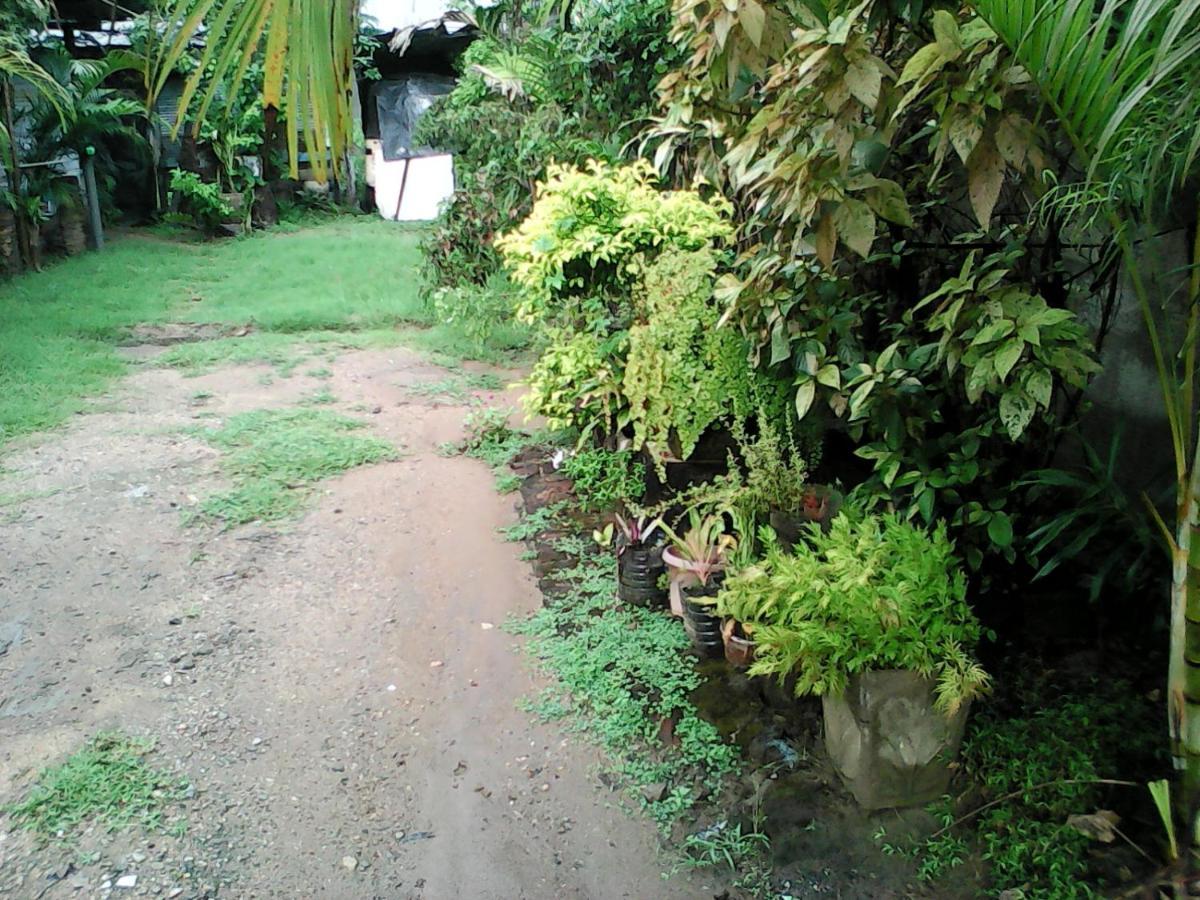 Lotus Inn Tourist Resort Dambulla Bagian luar foto